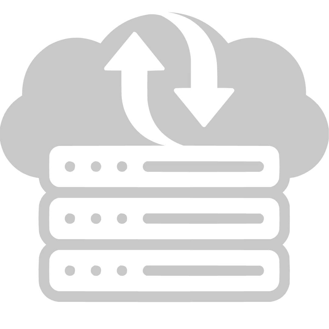 Server and NAS Support IT Service Icon